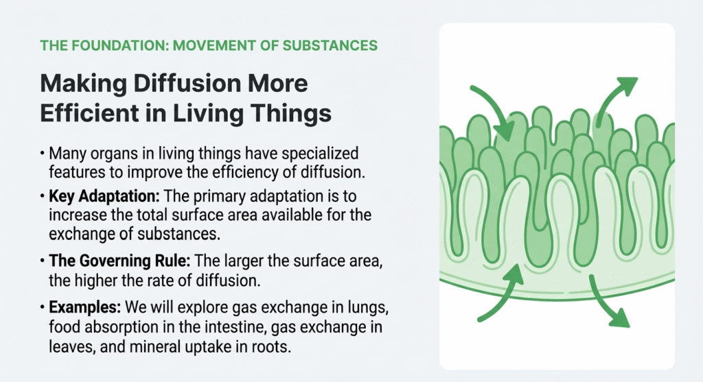 3. lower sec science diffusion efficiency 3. lower sec science diffusion efficiency